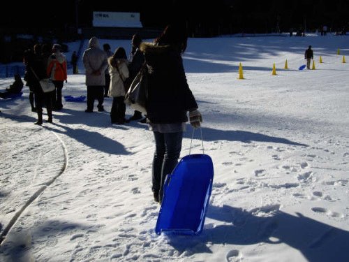 Julie’s Tobogganing Tragedy
