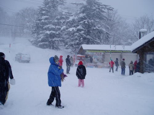 A Snowy Morning