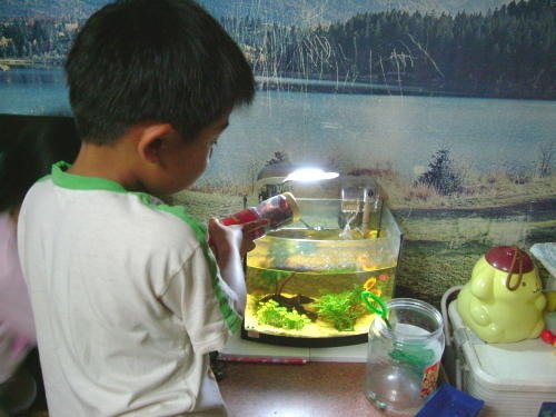 Keeping Fish