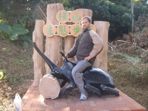 The Taming of the Giant Beetle