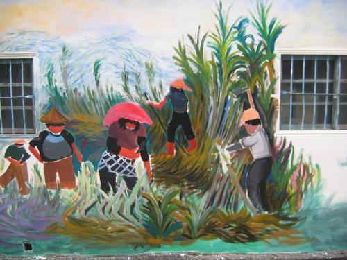 Murals
