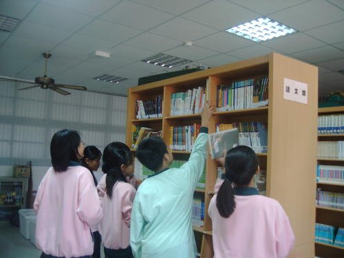 The School Library