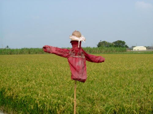 How to Make a Scarecrow