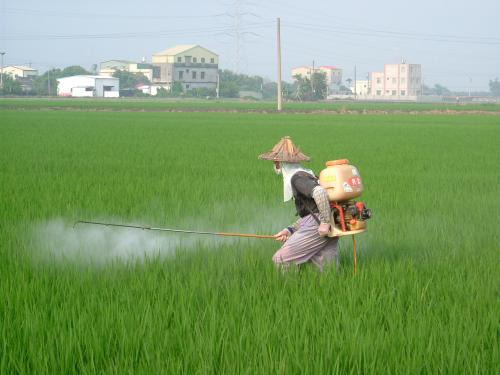 Pesticide