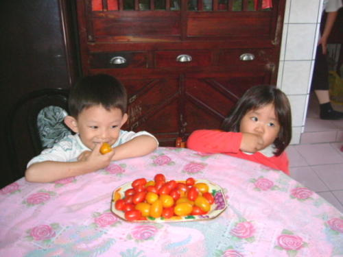 Cherry Tomatoes
