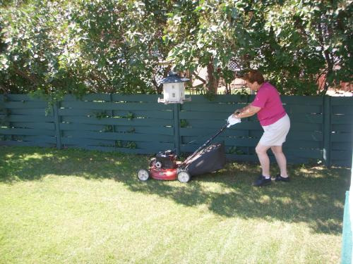 Cutting the Lawn
