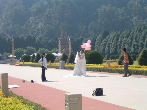 Wedding Photos