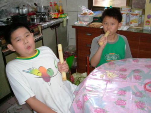 Sugarcane