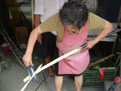 Sugarcane