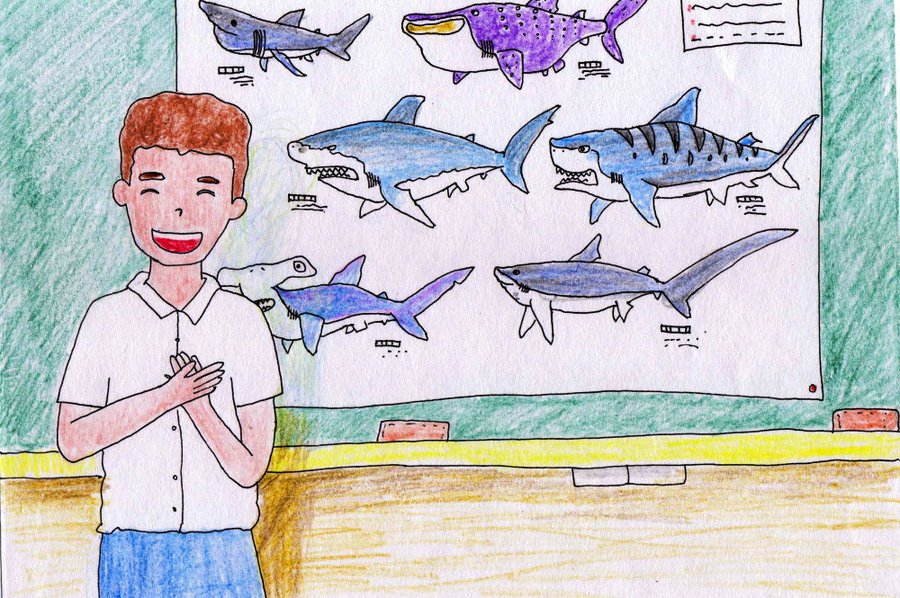 The Shark’s Plight
