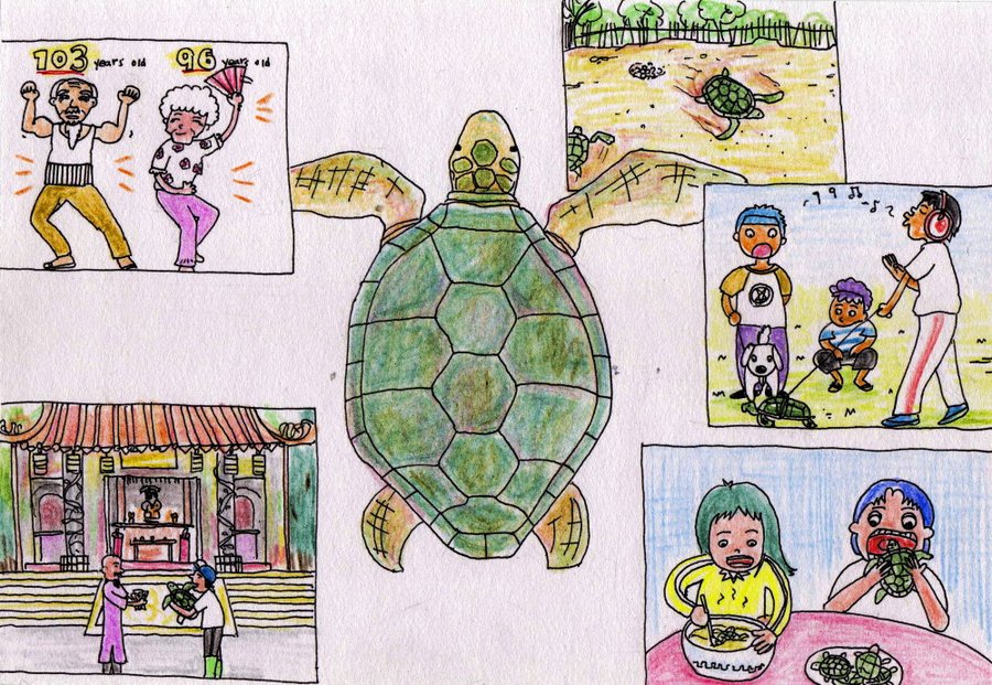 Endangered Sea Turtles