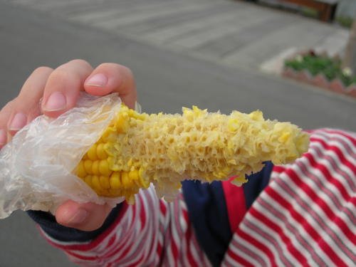 Corn on the Cob