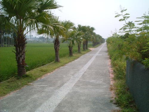 Cycling in Ershuei