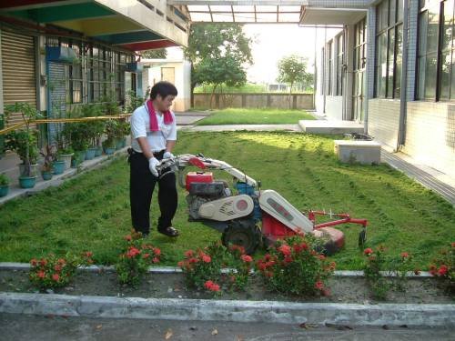 Mowing the Lawn