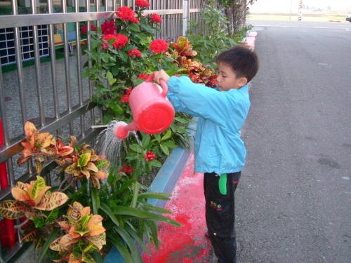 Watering the Flowers
