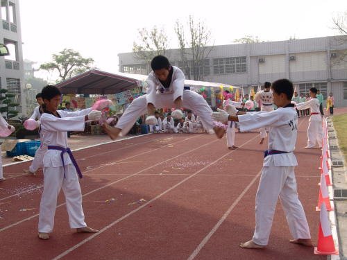 Tae Kwon Do