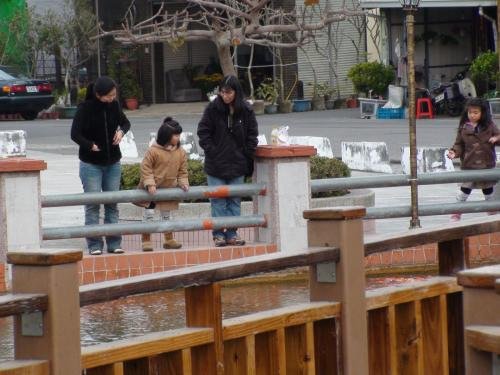 Feeding the Fish at the Pond