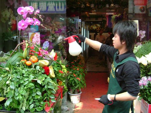 Floral Arrangements