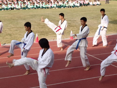 John Tries Taekwondo