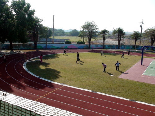 Tee Ball