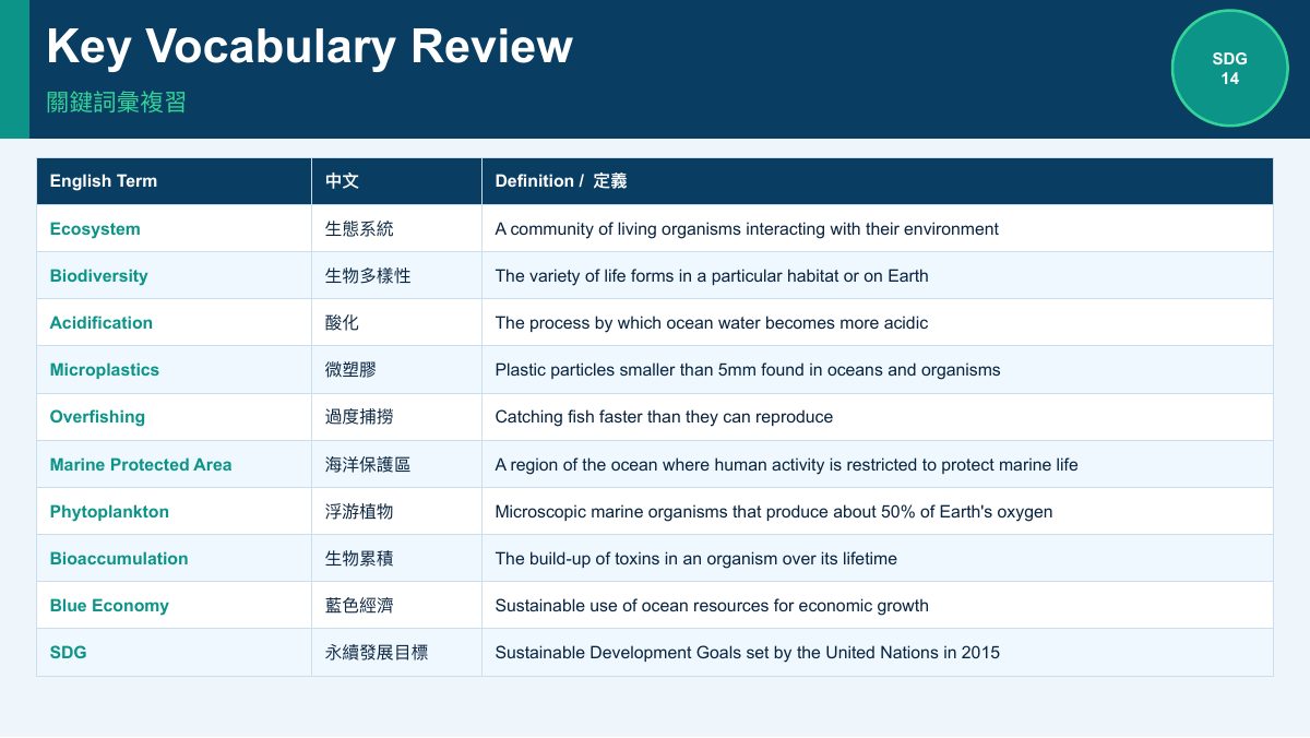 SDG 14 保育海洋生態（中學雙語版） — 第 10 頁