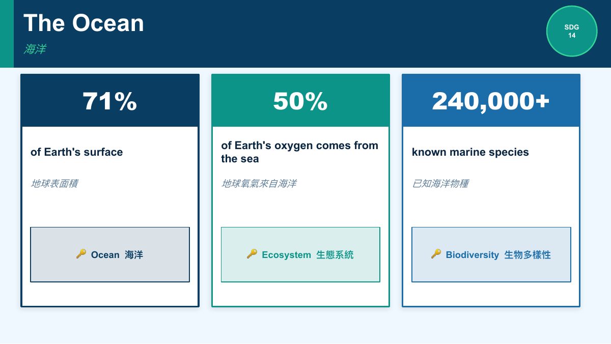 SDG 14 保育海洋生態（簡化版） — 第 3 頁