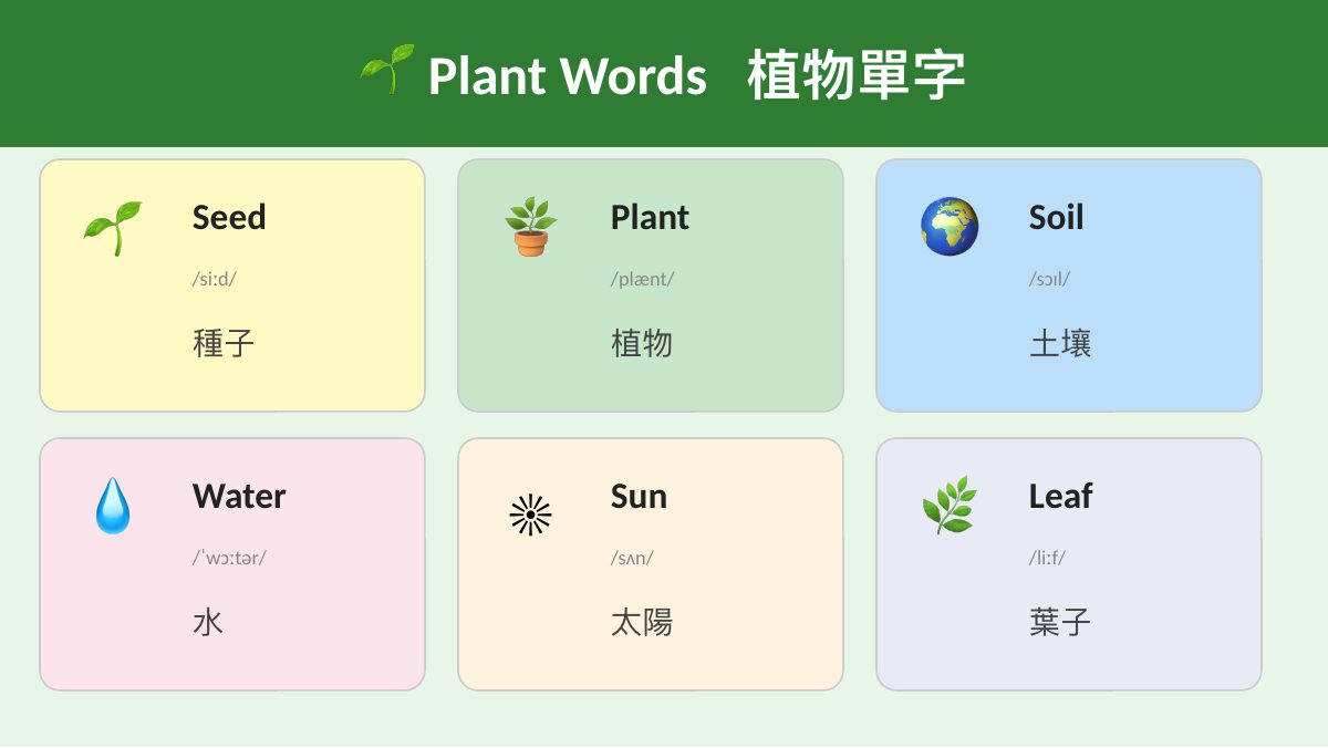 食農教育 — 第 6 頁