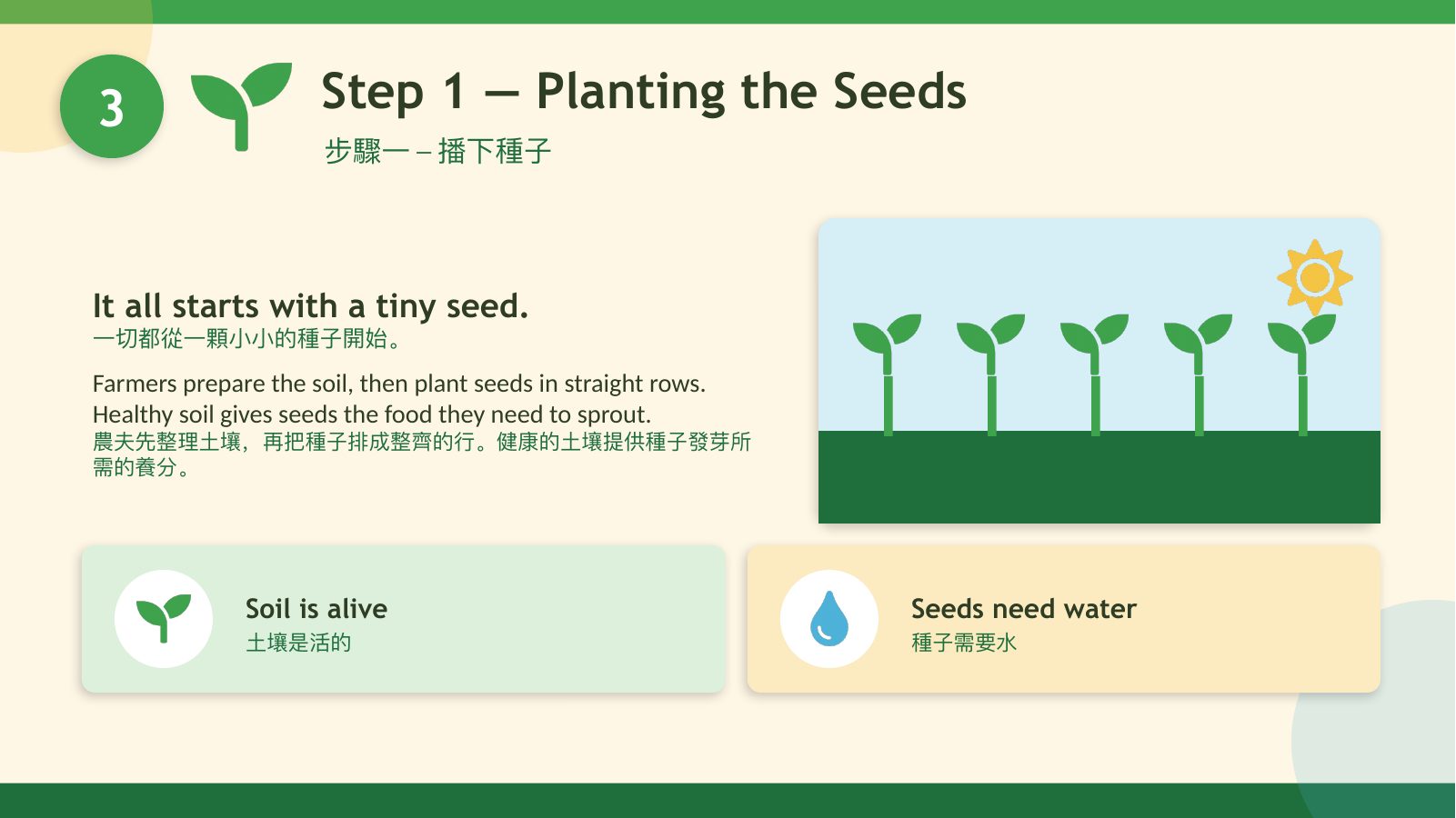 食農行動 Food & Agriculture Action — 第 6 頁